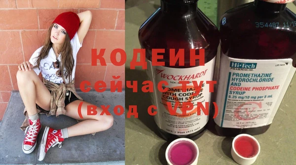дмт Кодинск