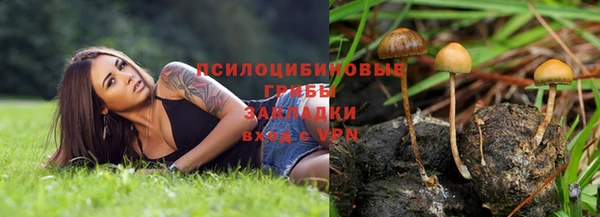 эйфоретик Костерёво