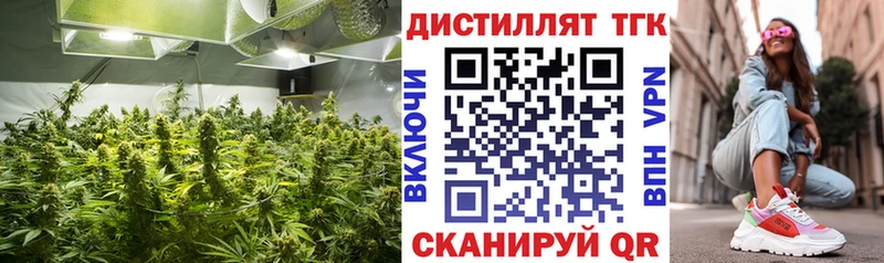 Дистиллят ТГК вейп с тгк  Медвежьегорск 