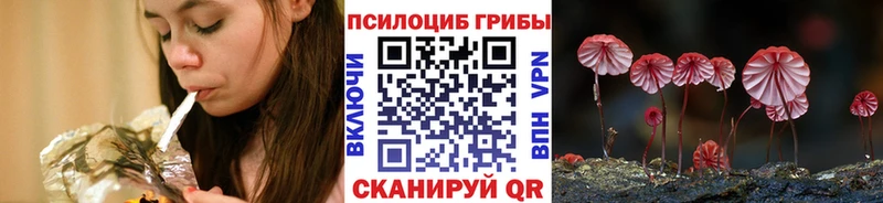 где можно купить наркотик  Медвежьегорск  МЕГА зеркало  Псилоцибиновые грибы Psilocybe 